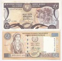 Ciprus 1993. 1Ł + 2004. 1Ł T:III,I- Ciprus 1993. 1 Pound + 2004. 1 Pound C:F,AU