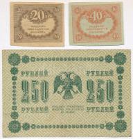 Orosz Polgárháború / Szocialista Szövetségi Szovjet Köztársaság 6db-os vegyes bankjegy tétel, közte ...