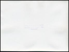 Vattay Elemér (1931-2012): Dénes Miklós (?-?) fafaragó munkái, 3 db fotó, hátuljukon pecséttel jelze...