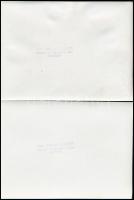 Vattay Elemér (1931-2012): Dénes Miklós (?-?) fafaragó munkái, 3 db fotó, hátuljukon pecséttel jelze...