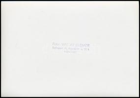 Vattay Elemér (1931-2012): Dénes Miklós (?-?) fafaragó munkái, 3 db fotó, hátuljukon pecséttel jelze...