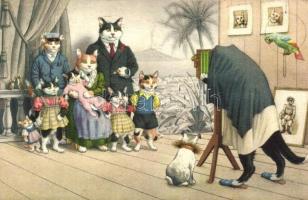 Cat family doing a photoshoot at the photographers. Alfred Mainzer ALMA No. 4724. Max Künzli (gluemark)