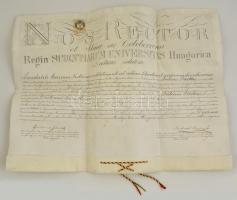1891 Jogi diploma pergamenen függőpecsét nélkül
