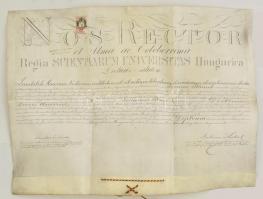 1886 Jogi diploma pergamenen függőpecsét nélkül