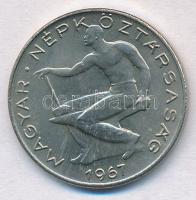 1967. 50f alpakka Kabinet sorból! T:1
Adamo FE11