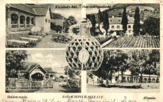 Balaton - 6 db régi városképes lap: éttermek, üdülők, villák, vasútállomás