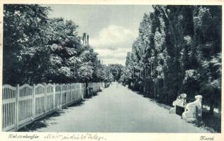 Balaton - 15 db régi városképes lap