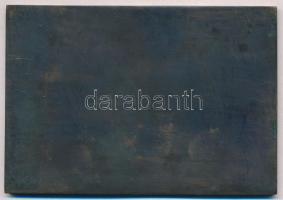 Kiss Kovács Gyula (1922-1984) DN "Magyar Újságírók Országos Szövetsége - Filmkritikusok Díja&qu...