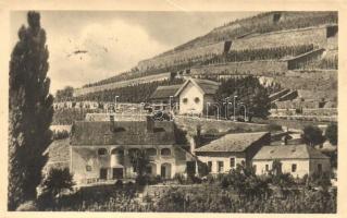 Balaton - 22 db modern városképes lap: üdülők, éttermek, fürdőzők, vasútállomás