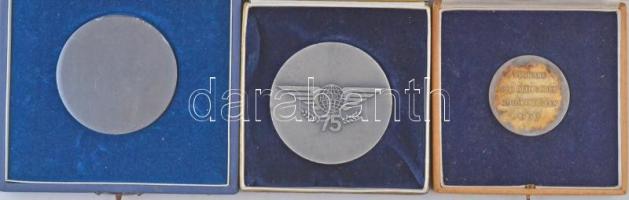 Lapis András (1942-) 1977. "IBUSZ 75 éves" ezüstözött fém emlékérem tokban, a tokra "...