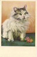 5 db vegyes macska motívumlap / 5 mixed cat motive cards