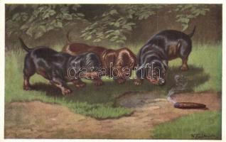 5 db régi kutya motívumlap / 5 pre-1945 dog motive cards