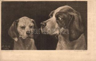 5 db régi kutya motívumlap / 5 pre-1945 dog motive cards