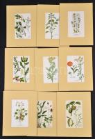 Növényeket és a növények részeit bemutató litho képek, német nyelven feliratozva, paszpartuban, 9 db, 16x10 cm