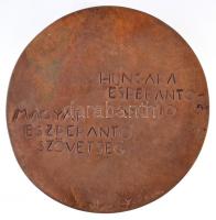 DN "Pro Esperanto / Magyar Eszperantó Szövetség" Br emlékérem (100mm) T:2