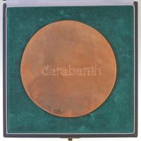 DN "Surányi János 1886-1965" Br plakett eredeti tokban, hátodalára "SZABÓ MIKLÓS"...
