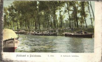 Balaton, Halászat a Balatonon I. A halászok indulása (kis szakadások / small tears)