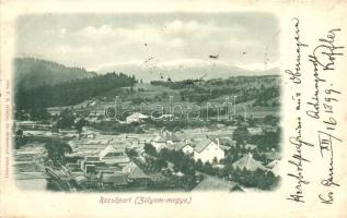 1899 Rezsőpart, Zólyom megye; fűrésztelep / saw mill