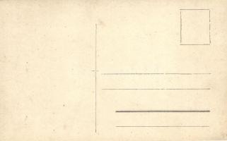 1908 Ramsau am Dachstein, Gasthaus Kulm / guest house. photo