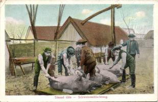 Pig-slaughter