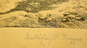 Bakófay P. Frigyes (?-?): Tabán Hegyalja út, rézkarc, papír, jelzett, üvegezett fa keretben, 16,5×21...