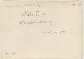 cca 1910 Magas-Tátra, Vadorzó-hágó, Erdélyi Mór felvétele, hátulján feliratozva, 11,5×16 cm /

cca...