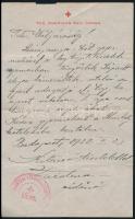 1922 Védőnő levele az Amerikai Vöröskereszthez segítségre szoruló gyermek ügyében, fejléces papíron, pecséttel, 20x12,5 cm