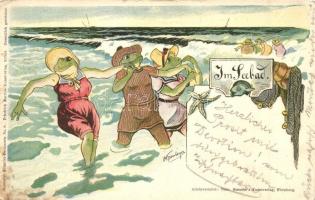 1899 Im Seebad / Frogs in bathing suits. Theo. Stroefers Kunstverlag, Humorist Künstler Postkarten No. 8. artist signed (EK)