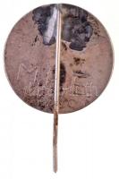 DN "Szent István denár / MÉE" tagsági jelvény, hátlapján a tulajdonos tagsági száma T:2 ja...