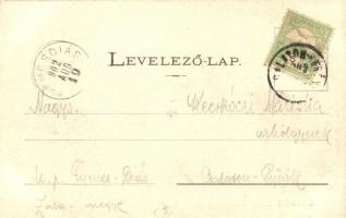 Balatonberény, Kelenfy villa. Neumark Adolf kiadása