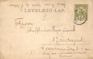 1904 Balatonőszöd, Őszöd; Római katolikus templom télen, photo (EK)