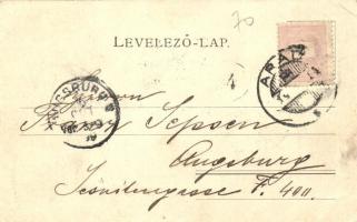 1899 Arad, Neuman Testvérek szeszgyára. Kerpel Izsó kiadása / distillery (EK)