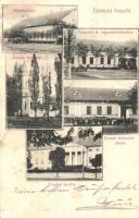 Fény, Foeni; Községháza, Pavlovits B. üzlete, Román templom, Román felekezeti iskola, Mocsonyi kúria, kastély. Hoffmann Béla kiadása, Pavlovits B. tulajdona / town hall, shop, Romanian church and school, castle (felületi sérülés / surface damage)