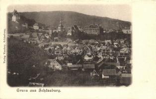 Segesvár, Schässburg, Sighisoara; látkép. Vandory kiadása / general view (EK)