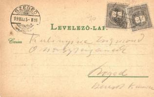 1899 Detta, Ghedu, Deta; Fő utca, Régi római katolikus templom, Braumüller palota, Jáger Péter sírbo...