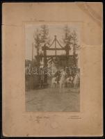 1904 Széchenyi Pál lovas tiszt a király kísérőjeként hadgyakorlaton, Kallós Oszkár fotója, kartonra kasírozva, karton törött, fotón kis sérülések, 19,5x105 cm