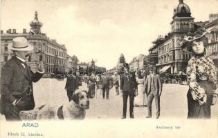 Arad, Andrássy tér, úriember kutyával montázs / square. gentleman with dog montage