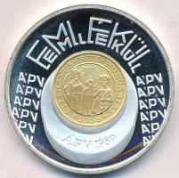 1989. Emlékül aranyozott, ezüstözött fém ÁPV látogatói emlékérem (42mm) T:1-(PP) patina
