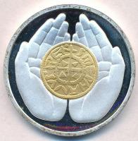 1989. "Emlékül" aranyozott, ezüstözött fém ÁPV látogatói emlékérem (42mm) T:1-(PP) patina