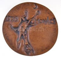 Csíkszentmihályi Róbert (1940-) 1976. "Mohács / 1526" Br emlékplakett (86mm) T:2 patina