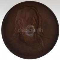 DN "Bercsényi Miklós gróf" Br emlékplakett "BERÁN" gyártói jelzéssel, hátoldalán...