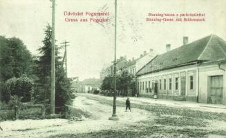 Fogaras, Fagaras; Sterzing utca, park / street view with park