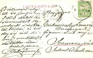 Fogaras, Fagaras; Sterzing utca, park / street view with park