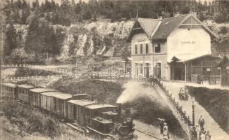 Tusnádfürdő, Bai Tusnad; vasútállomás gőzmozdonnyal. Oscar Adler / Bahnhof / railway station with locomotive