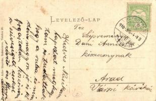 Vajdahunyad, Hunedoara; vasgyár. Adler fényirda  / iron works (fl)