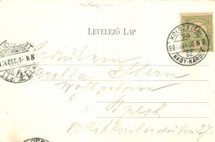 Zsibó, Jibou; Református templom, Báró Wesselényi Béla palota, Merza testvérek üzlete és saját kiadá...