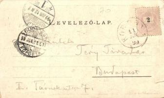 1899 Csábrágvarbók, Cabradsky Vrbovok; Csábrág vára. Joerges 38. sz. / castle (szakadás / tear)