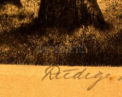 Olvashatatlan jelzéssel: Vízpart, rézkarc, papír, 15,5×20 cm