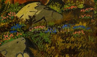 Pauer jelzéssel: A vadon hívó szava, olaj, vászon, fa keretben, 29×38,5 cm