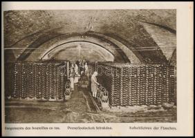 Törley Pezsgőborgyár Budafok 1880-1930. Bp.,(1930), Törley Pezsgőborgyár, (Monostory György-ny.), 32...